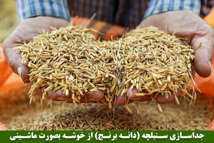 تصویر بیست و سوم : جداسازی سنبلچه (دانه برنج) از خوشه بصورت ماشینی