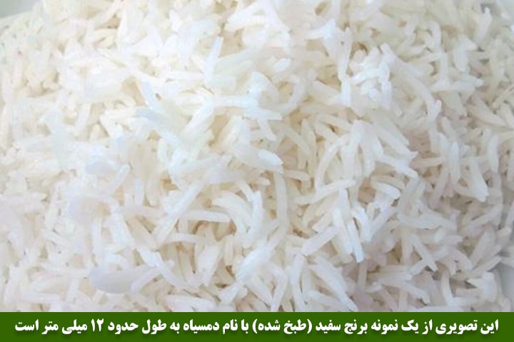 تصویر بیست و هشتم : تصویری از یک نمونه برنج سفید (طبخ شده) با نام دمسیاه به طول حدود 12 میلی متر 